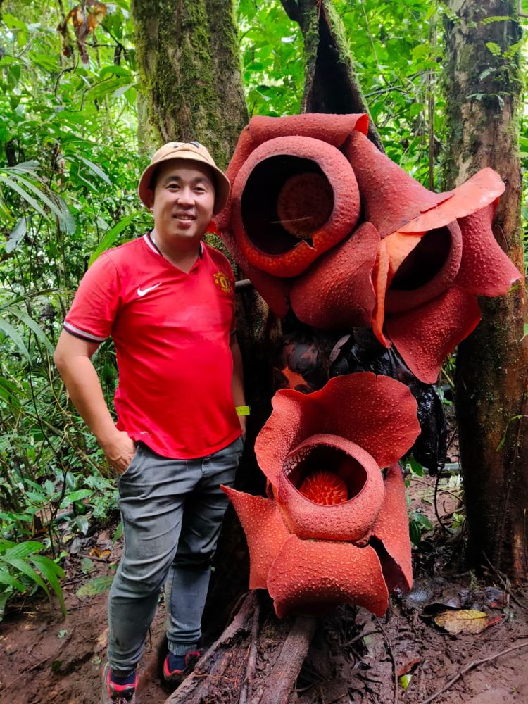img2